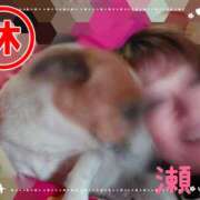 ヒメ日記 2025/07/02 08:57 投稿 瀬戸 竹内マッサージ