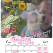 ヒメ日記 2025/07/03 16:35 投稿 瀬戸 竹内マッサージ