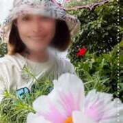 ヒメ日記 2025/07/04 09:42 投稿 瀬戸 竹内マッサージ