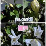 ヒメ日記 2025/08/17 15:37 投稿 瀬戸 竹内マッサージ