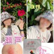 ヒメ日記 2025/08/29 09:40 投稿 瀬戸 竹内マッサージ