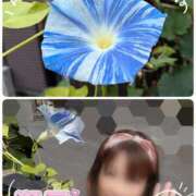 ヒメ日記 2025/09/25 12:13 投稿 瀬戸 竹内マッサージ