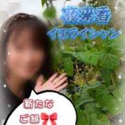 ヒメ日記 2025/10/04 05:56 投稿 瀬戸 竹内マッサージ