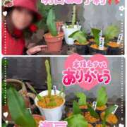 ヒメ日記 2025/10/17 00:38 投稿 瀬戸 竹内マッサージ