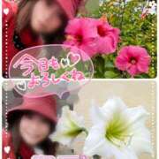 ヒメ日記 2025/10/17 11:47 投稿 瀬戸 竹内マッサージ