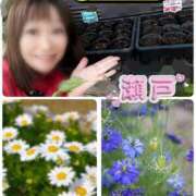 ヒメ日記 2025/10/24 09:26 投稿 瀬戸 竹内マッサージ