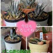 ヒメ日記 2025/10/31 09:34 投稿 瀬戸 竹内マッサージ