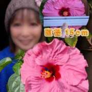 ヒメ日記 2025/11/13 21:23 投稿 瀬戸 竹内マッサージ