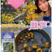 ヒメ日記 2025/11/14 09:56 投稿 瀬戸 竹内マッサージ