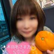 ヒメ日記 2025/11/15 07:22 投稿 瀬戸 竹内マッサージ