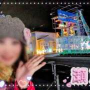 ヒメ日記 2025/11/16 08:45 投稿 瀬戸 竹内マッサージ