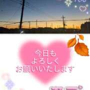 ヒメ日記 2025/12/05 06:59 投稿 瀬戸 竹内マッサージ