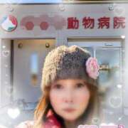 ヒメ日記 2025/12/26 12:05 投稿 瀬戸 竹内マッサージ