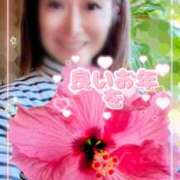 ヒメ日記 2025/12/31 14:23 投稿 瀬戸 竹内マッサージ