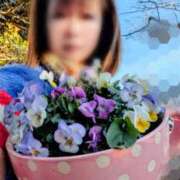 ヒメ日記 2025/12/31 16:20 投稿 瀬戸 竹内マッサージ