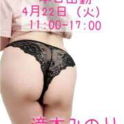 ヒメ日記 2025/04/22 09:30 投稿 滝本みのり ミセスハンズ