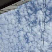 ヒメ日記 2025/10/29 08:22 投稿 おとは 若妻淫乱倶楽部 久喜店