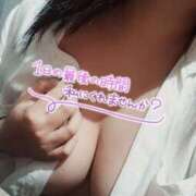 ヒメ日記 2025/06/29 00:49 投稿 おとは 若妻淫乱倶楽部