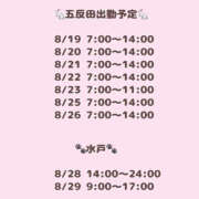 つみき 8月後半 ドリーム水戸