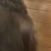 つみき 夜も ドリーム水戸