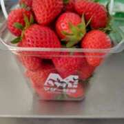 ヒメ日記 2026/02/03 08:12 投稿 かなえ 錦糸町 夜這右衛門娼店～夜這・即尺・痴漢・人妻～