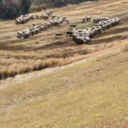 ヒメ日記 2026/02/05 13:17 投稿 かなえ 錦糸町 夜這右衛門娼店～夜這・即尺・痴漢・人妻～