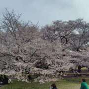 ヒメ日記 2026/04/05 16:23 投稿 かなえ 錦糸町 夜這右衛門娼店～夜這・即尺・痴漢・人妻～