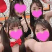 ヒメ日記 2024/02/24 22:23 投稿 りおな TOKYO BUNNYS CLUB