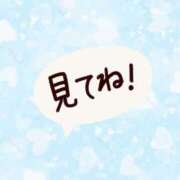 ヒメ日記 2025/02/23 18:29 投稿 水無月セイラ 神戸ホットポイント