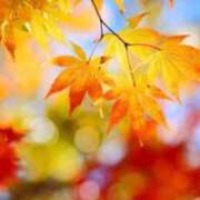 りおん こんにちは🍁 千葉人妻セレブリティ（ユメオト）