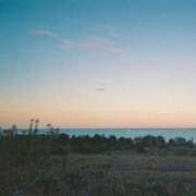 ヒメ日記 2025/03/11 14:15 投稿 ひより マーガレット