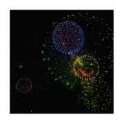 ヒメ日記 2025/08/15 01:53 投稿 ひより マーガレット