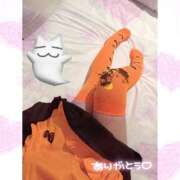 ヒメ日記 2025/10/31 11:01 投稿 ひより マーガレット