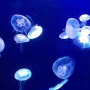 ヒメ日記 2025/02/04 16:38 投稿 えま 大宮baton