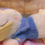 ヒメ日記 2025/12/26 20:16 投稿 えま 大宮baton