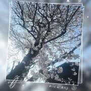 ヒメ日記 2026/03/29 15:04 投稿 えま 大宮baton