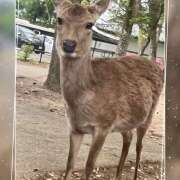 ヒメ日記 2026/05/08 22:28 投稿 えま 大宮baton