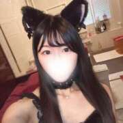 ヒメ日記 2025/10/16 16:35 投稿 さち アロー