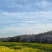 ヒメ日記 2026/04/05 14:10 投稿 あさみ 錦糸町 夜這右衛門娼店～夜這・即尺・痴漢・人妻～