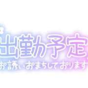 ヒメ日記 2026/08/11 08:14 投稿 こよみ 一宮稲沢小牧ちゃんこ