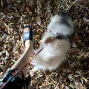 ヒメ日記 2024/12/15 19:05 投稿 ともえ 横浜おかあさん