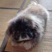 ヒメ日記 2025/02/06 07:35 投稿 ともえ 横浜おかあさん