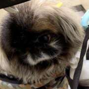 ヒメ日記 2025/02/23 07:55 投稿 ともえ 横浜おかあさん