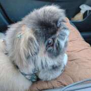 ヒメ日記 2025/02/27 12:25 投稿 ともえ 横浜おかあさん