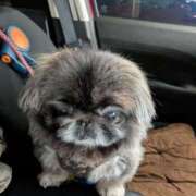 ヒメ日記 2025/03/04 11:20 投稿 ともえ 横浜おかあさん