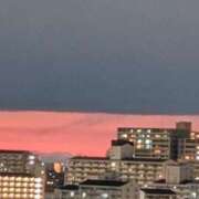 ヒメ日記 2025/03/06 18:48 投稿 ともえ 横浜おかあさん