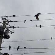 ヒメ日記 2025/04/07 20:25 投稿 ともえ 横浜おかあさん