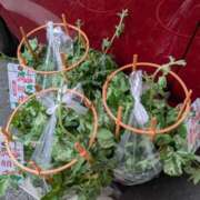 ヒメ日記 2025/07/07 19:35 投稿 ともえ 横浜おかあさん