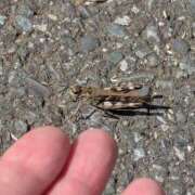 ヒメ日記 2025/09/26 06:25 投稿 ともえ 横浜おかあさん