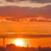 ヒメ日記 2025/11/29 06:51 投稿 ともえ 横浜おかあさん